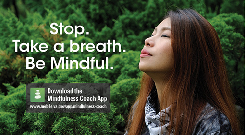 Mindfulness 2018