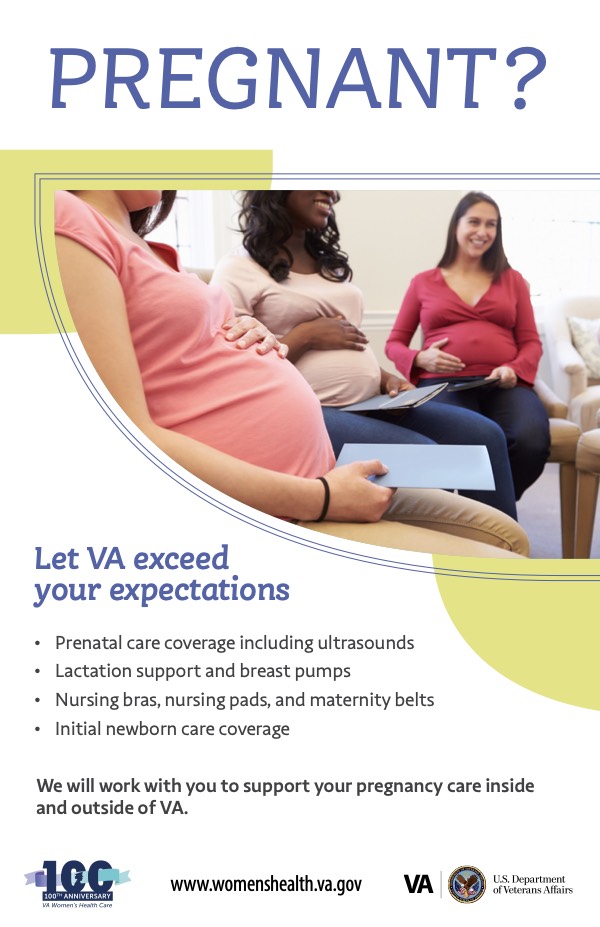 Product image for Pregnant? Let VA exceed your expectations (2023)