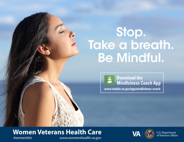 Product image for Mindfulness (2018) A