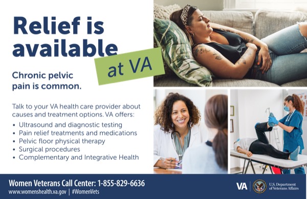 Product image for Chronic Pelvic Pain