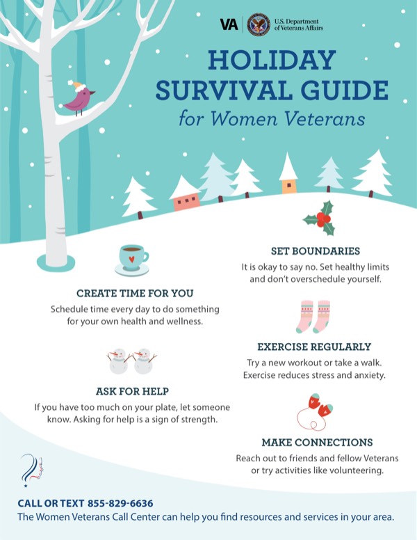 Product image for Holiday Survival Guide